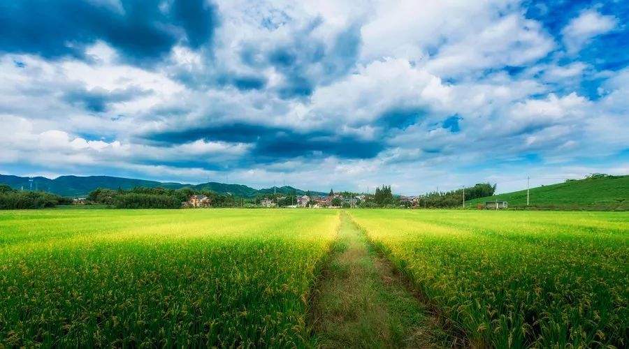 占地宅基地拆迁补偿