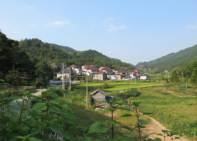 宅基地房屋被拆迁