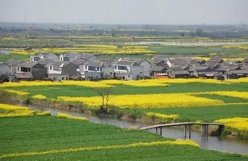 国有土地征收补偿纠纷律师