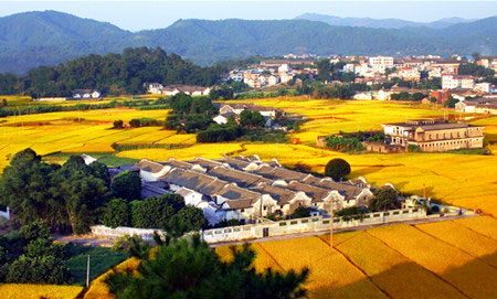 土地征收