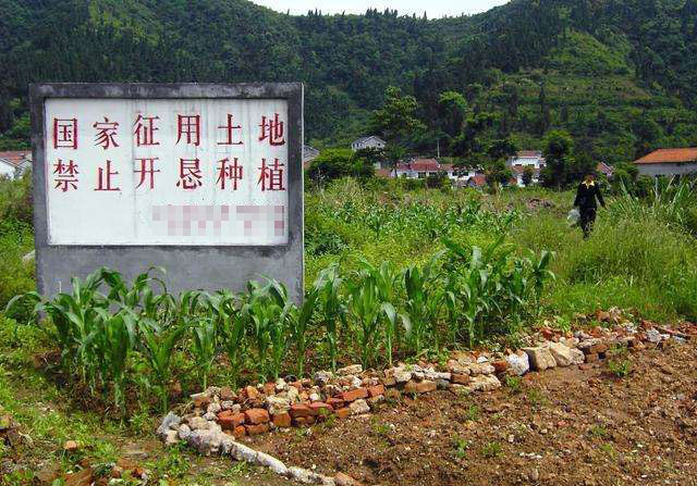 土地征收