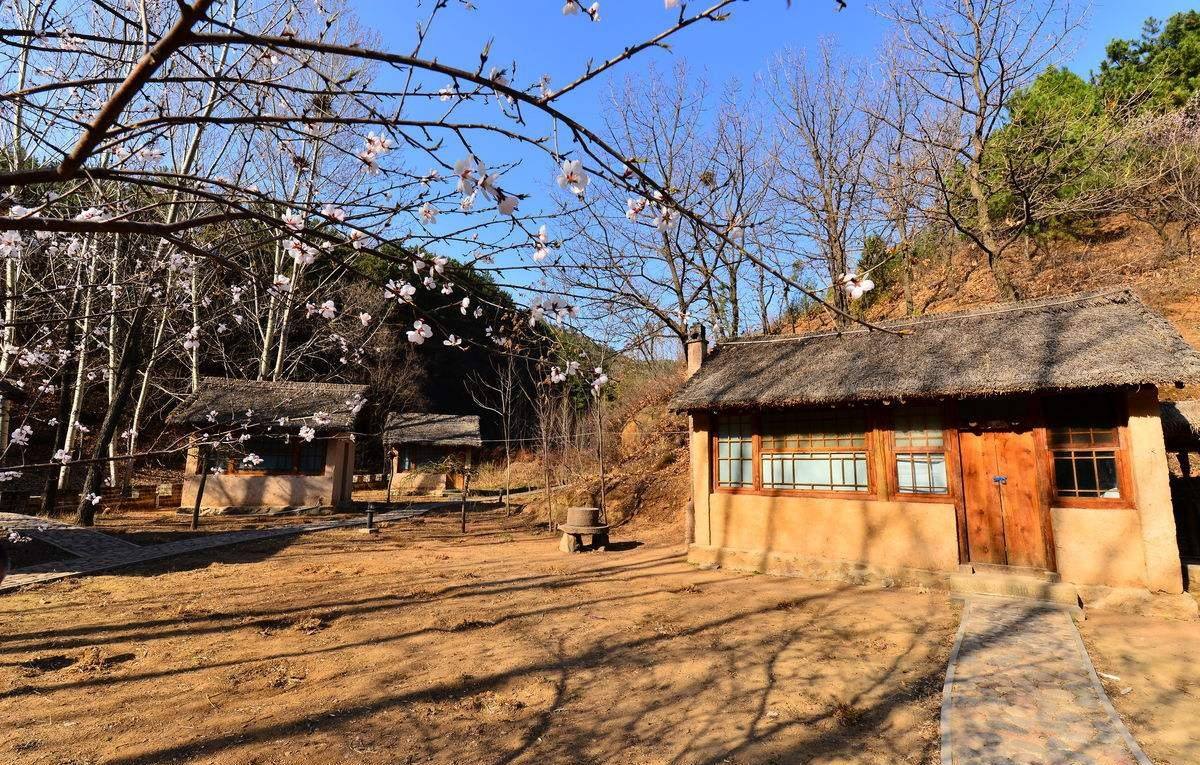 农村宅基地补偿新标准