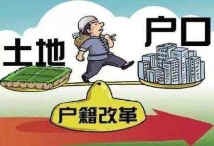 宅基地