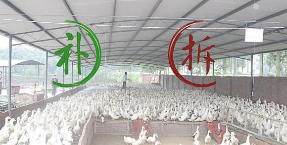 养殖场拆迁补偿
