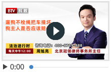 遛狗不栓绳把车撞坏 狗主人是否应该赔偿？
